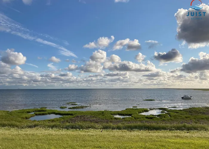 Lejlighed Kachelothuus 189 - 1